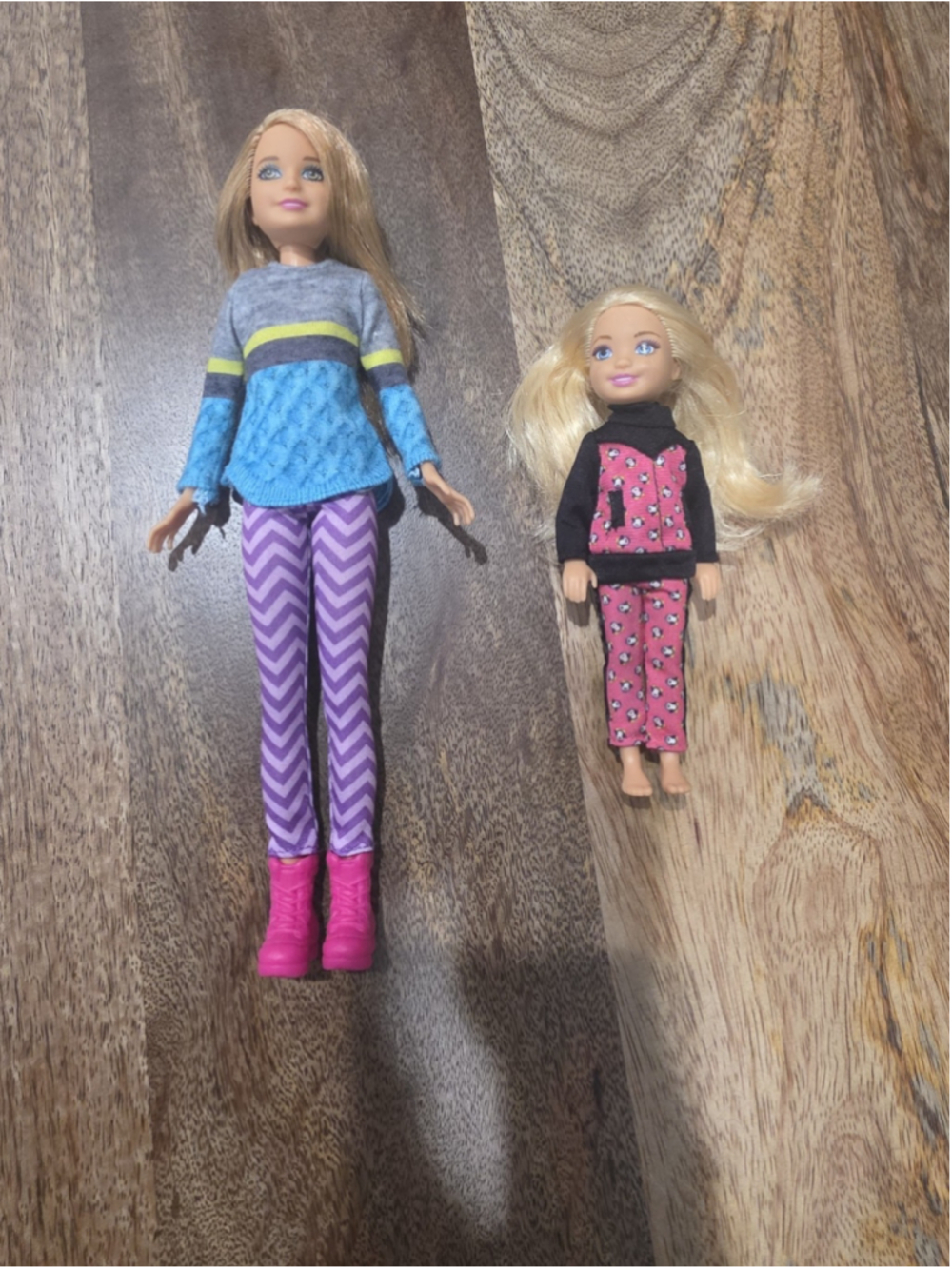 Barbie Sisters Winter Snow Fun Gift Set Barbie Stacie & Kelly Only C326G 2010